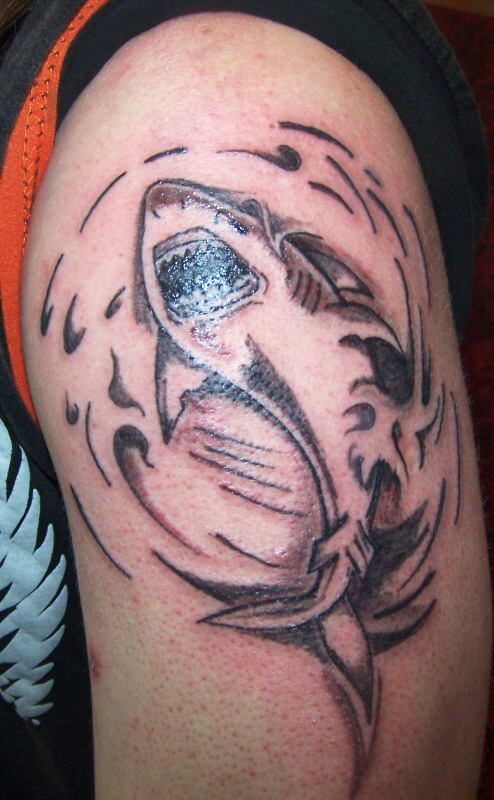 shark